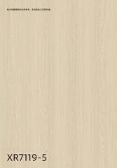 Decoration Paper 2025HF01 页面 098